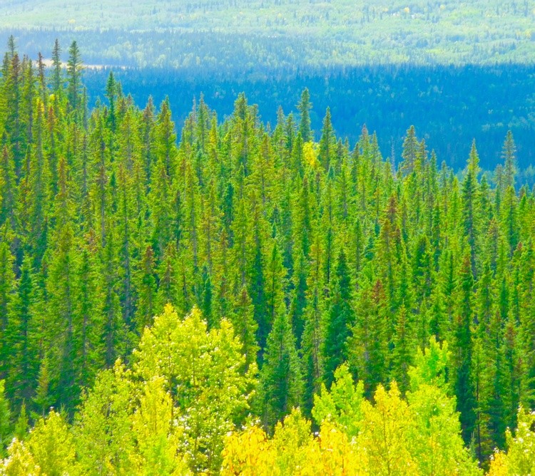 September in Canada