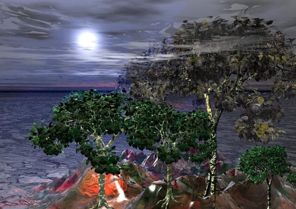 The Magic Forest x
