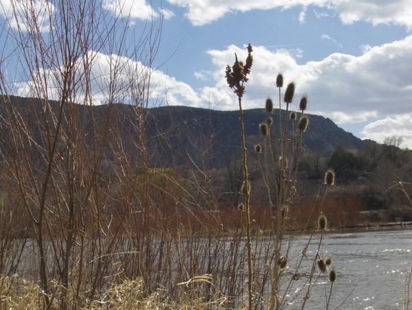 Rio Grande in Pilar, NM