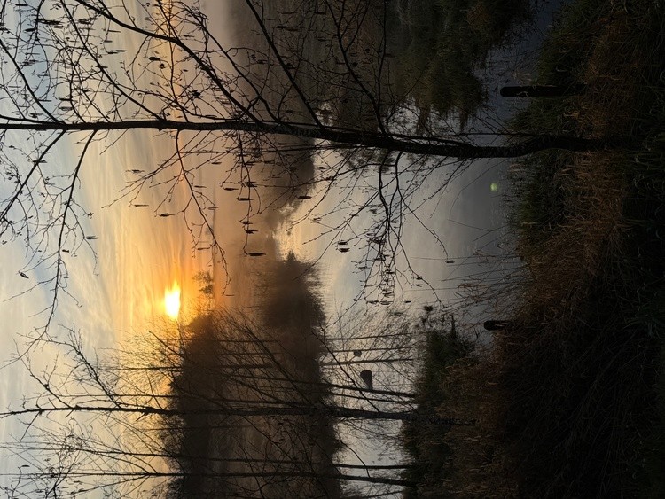 Sunrise 