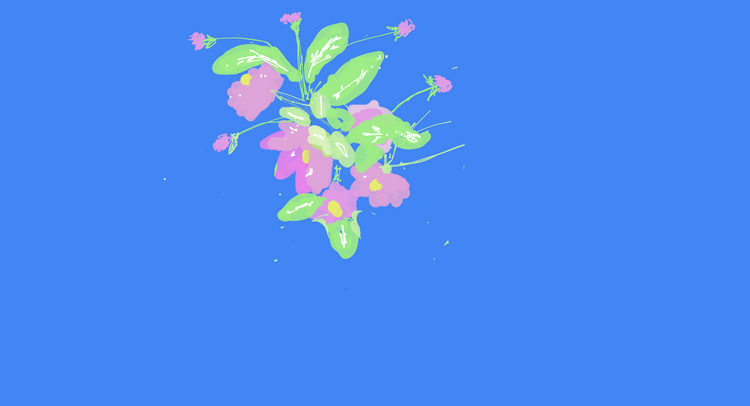 wild flower 