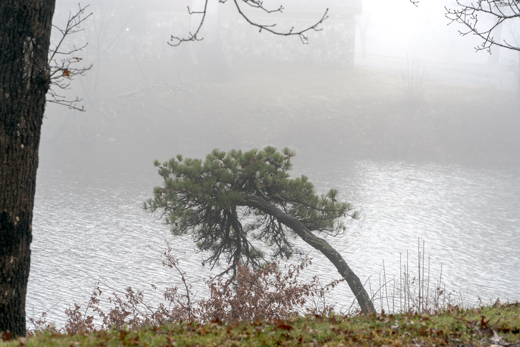 FoggyHightPointSept202305