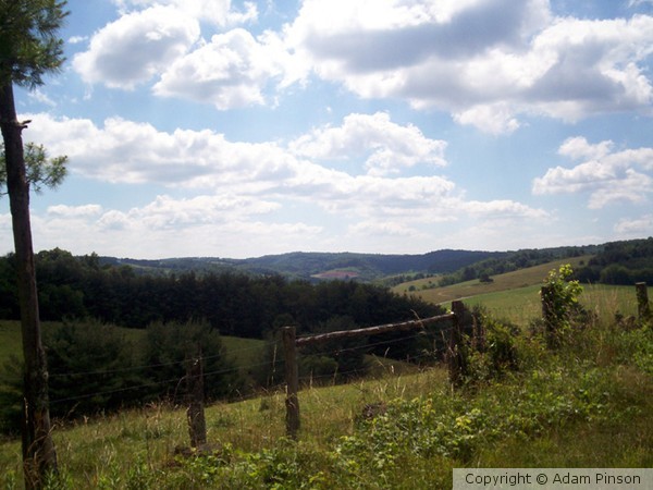 Landscape Shot
