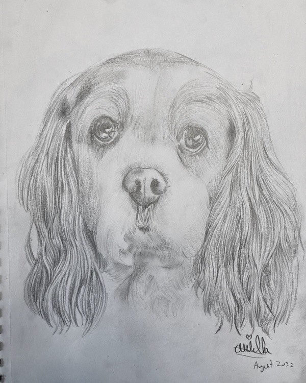 A drawing of Mucia (Moo-cha)