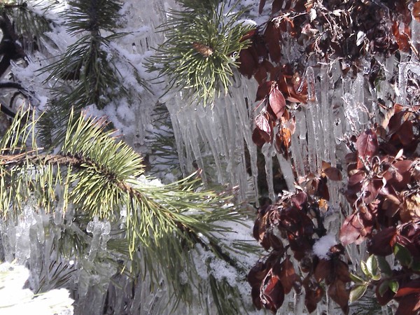 Ice