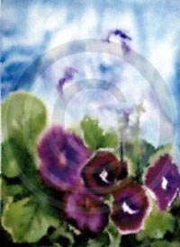 Heavenly Hollyhocks ©