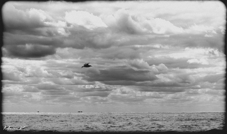 Flight B&W 250905