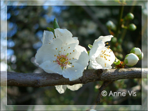 Spring is in the air!