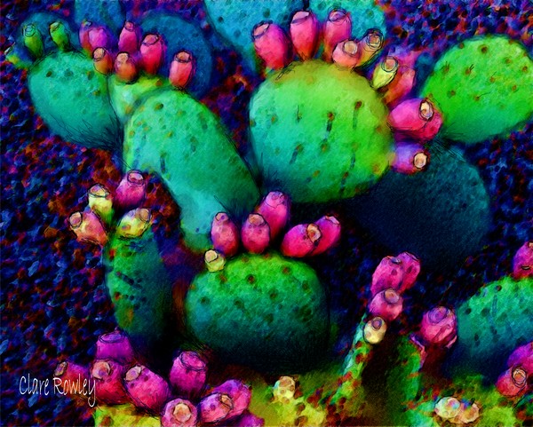 Prickly Pear