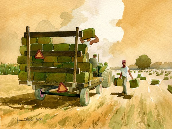 Bucking Hay
