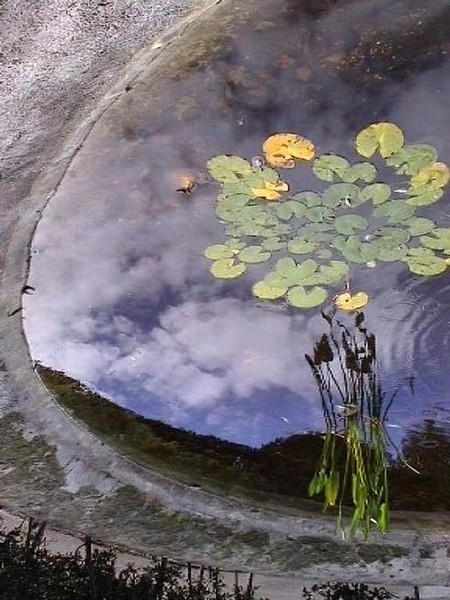 218. Ornamental pool corner with a twist