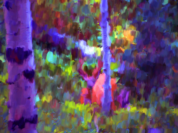 Deer in the Forest