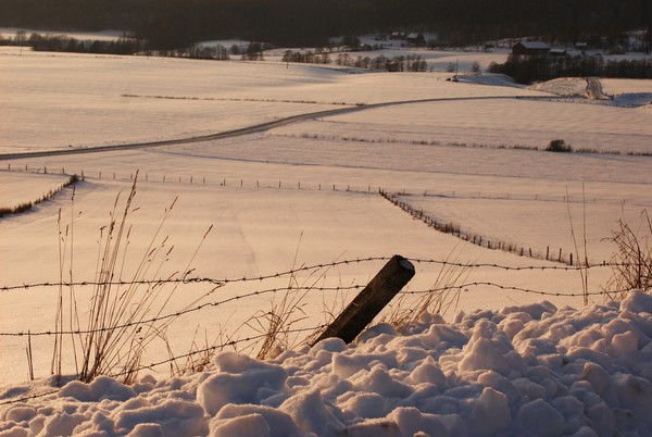 fields of snow