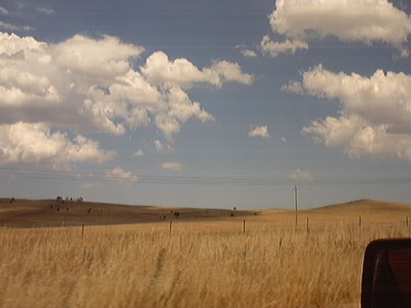 Outback Landscape