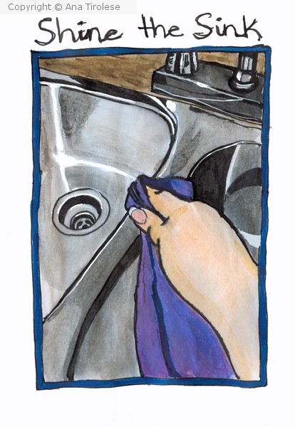 Shine the Sink