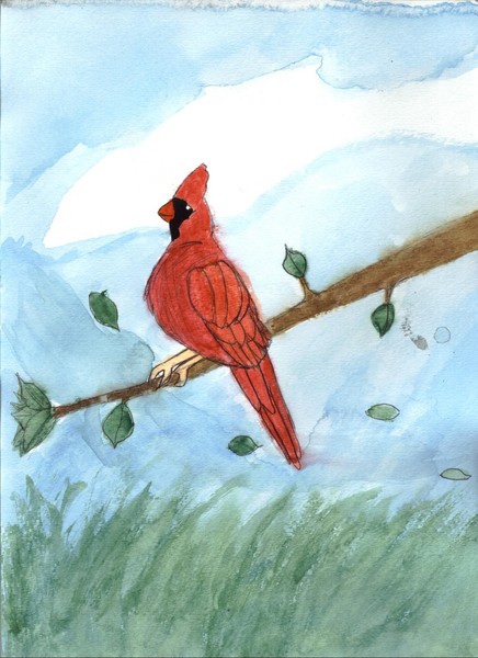 Watercolor Cardinal