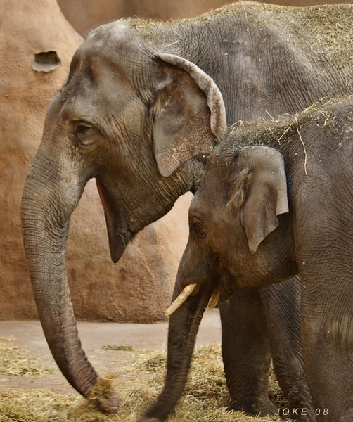 Mother and child