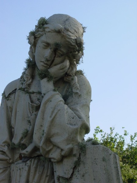 Aged Beauty