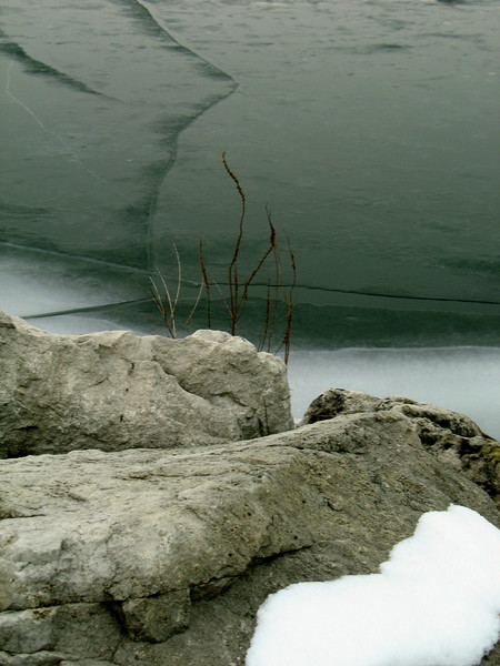 Rock, Ice, Weeds
