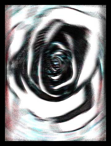 fuzzy flower