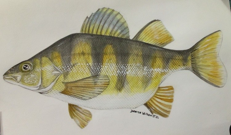 IMG 2026-04-25-17-11-58-587