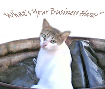 What's Your Business Here