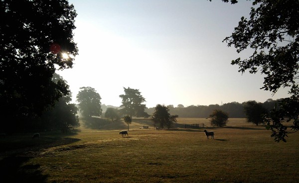 Catton Park