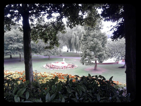 Stapenhill Gardens