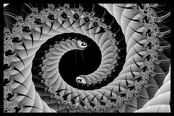 Milipedes