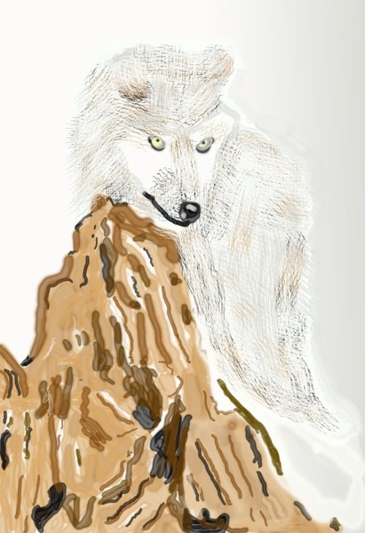 O278 Arctic Fox