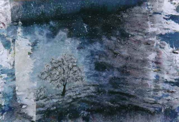 almonds tree