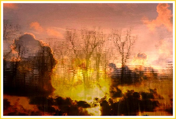 Seeing Reflections 