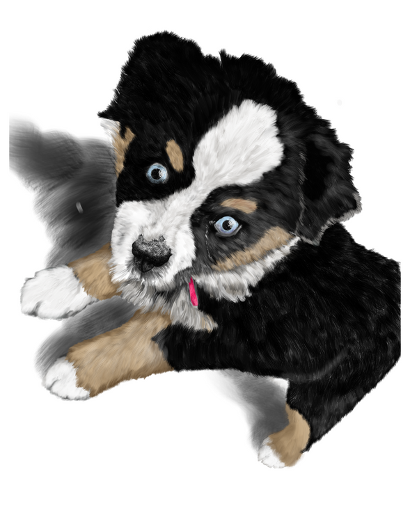 pams pup