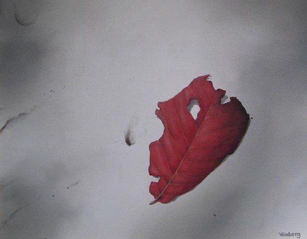 Red leaf in the shadow