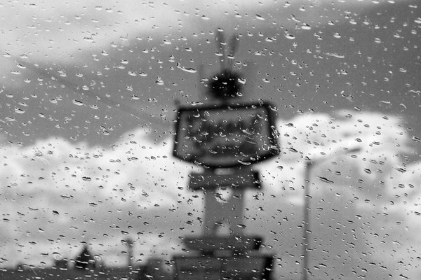 desert rain