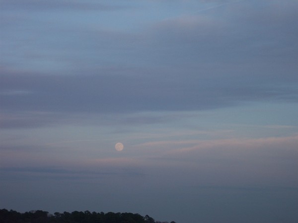 Moon