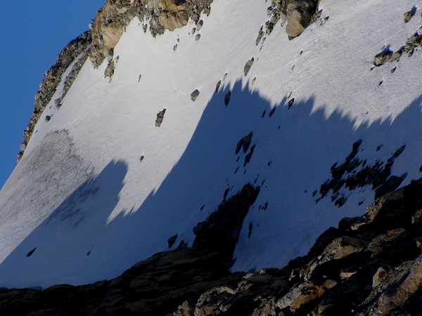 arctic  shadows