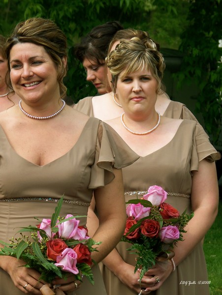 Lisa's Wedding Party