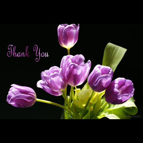 Thank You!!!