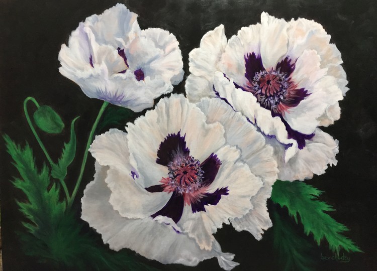 White Poppies