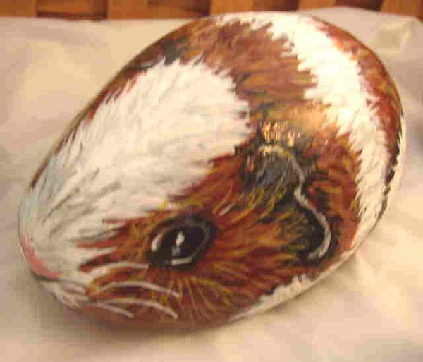 Guinea Pig