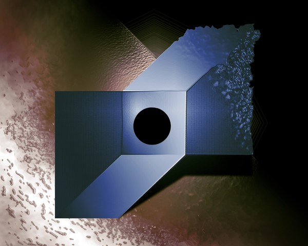 Odd Black Hole