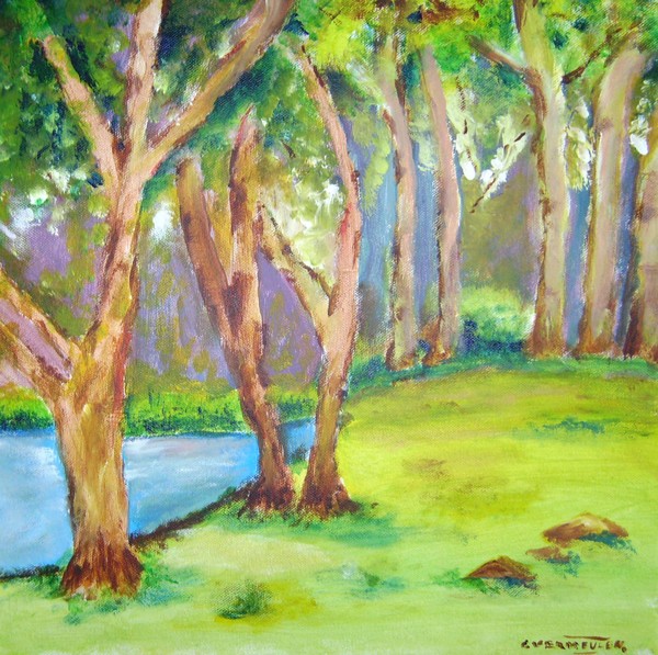 trees trees and trees
