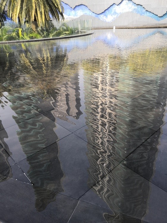 Reflection
