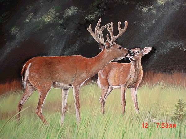 Mikey's Deer
