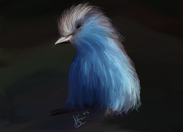 Blue bird