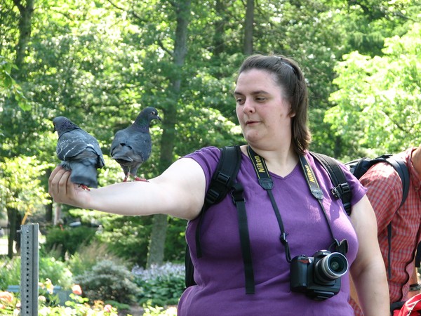 Me charming pigeons with NO food