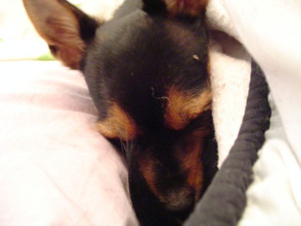 Sleepy.