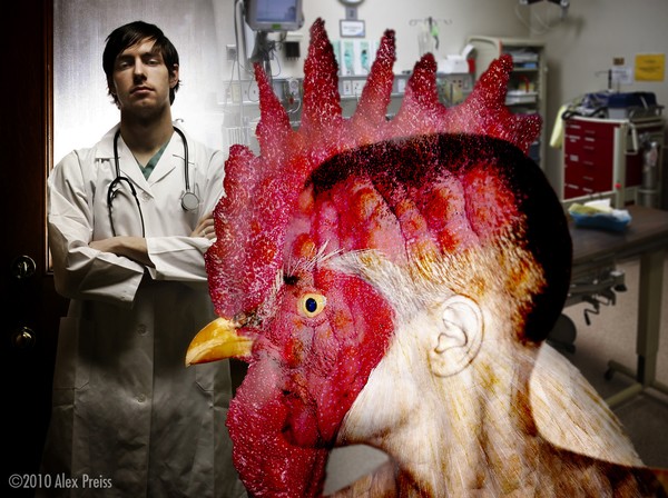 Why Did The Chicken Cross The Road? The Sue Lowden