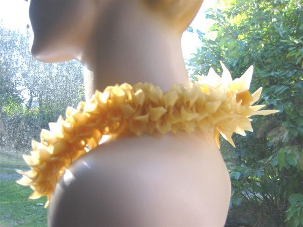 sunny collar